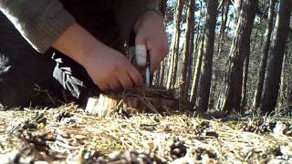 Bushcraft Natural tinder ''pine needles"