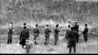 #Легенды Уголовного Розыска  Тайна Оборотня