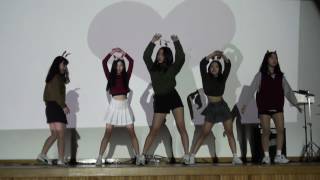대전 제일고등학교 한별제 축제 (Reflection+T.T)