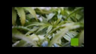 Blastah Beatz - Mary Juwana (feat DoItAll, D-Rock and DJ Grazzhoppa)