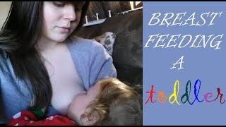 Breastfeeding a Toddler
