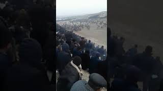 Kupkari 2019