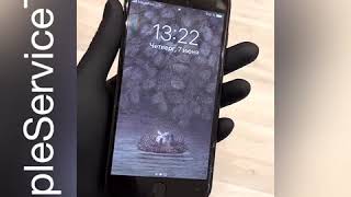 Замена стекла iPhone 7 Plus в Тюмени