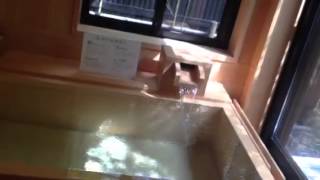 熱海清水楼、かけ流し天然温泉～ヒノキ風呂