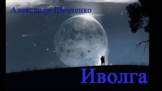 Александр Шевченко Иволга