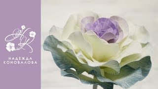 Как сделать брасику из фоамирана