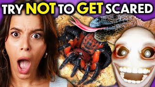 Try Not To Get Scared - Head To Head Challenge! (Spiders, Jump Scares, Weird Animals) | REACT