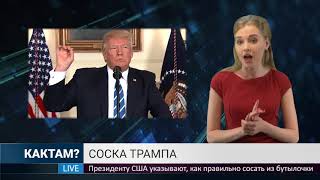 КАКТАМ? Пиздец в мире #1