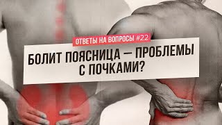 Боль в пояснице: пора волноваться о почках? (Ответы На Вопросы)