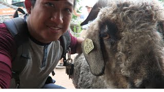HE LOOKS JUST LIKE ME (Vlog #28)