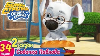 Озорная семейка - Собачка Павлова | Поучительный мультфильм для детей
