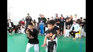 dakaito ryu aomar 2