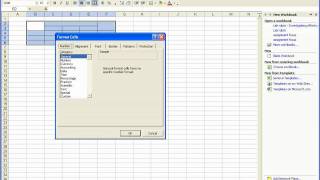 Excel 2003 Tutorial #1