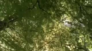 Lady Chatterley (2006) - French
