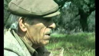 Γιώργης Χριστοφιλάκης : Ο Μητσιούλιας λέει.... 3