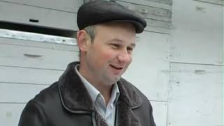 Як бджоли готуються до зими