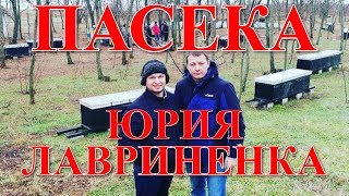 На пасеке Юрия и Павла Лавриненко / FABRO