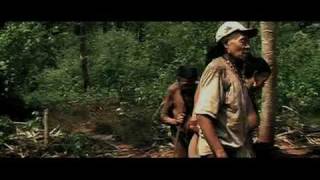Akuntsu - Survival International