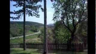 Родно место Владике Николаја