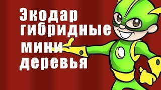 Купить Домашние Мини Деревья