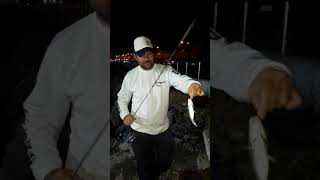 Maruk isome ile melanur avı