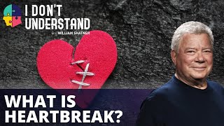 IDU: The science of a broken heart