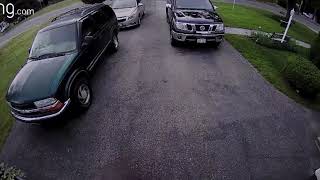 A baby bear in Barre spooked a young girl in her driveway
