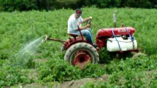 Farmall Cub Spraying Potatoes, 2009