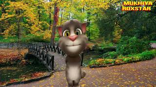Salman khan vs billi funny call// सलमानखान vs बिल्ली comedy वीडियो// salman khan songs
