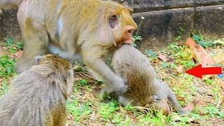Poor Jessie cry loud attack by Danna / Monkey Post