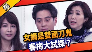 《八點檔搶先爆》市井豪門 EP93 女婿是雙面刀鬼 春梅大試探？