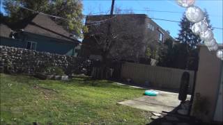 BrookStone Stunt Copter