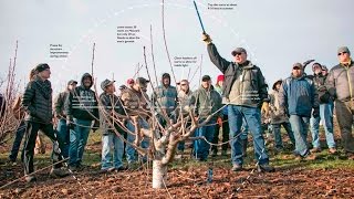 How to prune the KGB way