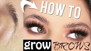 How To GROW Your EYEBROWS! | Morning/Night ROUTINE! | Kayleigh Noelle