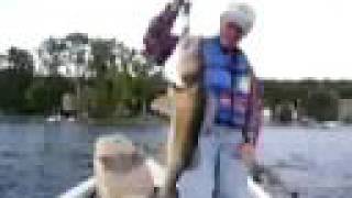 Conesus Lake: The Center For Animal Behavioral Research - Spoonplugging