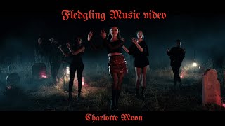 Charlotte Moon- Fledgling (Official Music Video)
