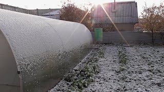 ОБЗОР 24 ОКТЯБРЯ. ОПЯТЬ СНЕГ. 