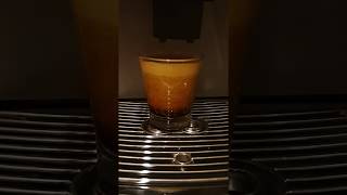 Saeco Royal Professional making coffee