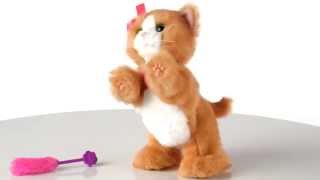FurReal Friends Дэйзи игривый котенок Hasbro A2003