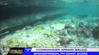 Another vessel runs aground in Tubbataha
