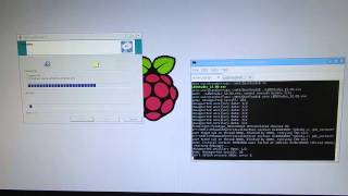 Raspberry Pi + Qemu-i386 + Wine: Running Windows Applications on Raspi