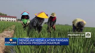 Bukti Kesuksesan Program Makmur, Produktivitas Tebu Naik 73%