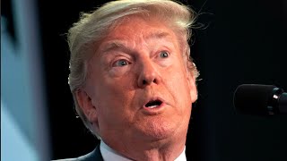 Trump Gets Torched For Dumbing Down Security To This