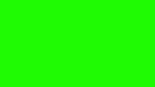 Fire Flames Green Screen