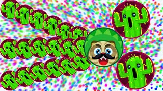 Agario Solo Epic Battle To The End With Cactus! (Agar.io Best Moments)