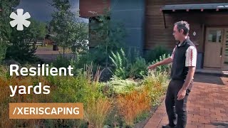Xeriscaping: native plants and a drought-tolerant yard (LEED landscape in Sun Valley, Idaho)