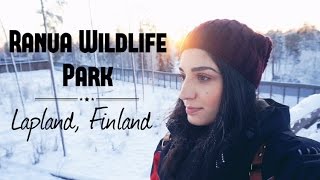 Ranua Wildlife Park | Lapland, Finland | @diarywings