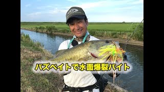 【茂手木祥吾】O.S.Pバズ02ビートで水面炸裂バイト！