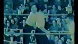 White crane fist vs Tai Chi