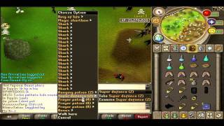 ★ E1f Pk Vid 5 ★ Low Level AGS 1 Defence Pure Pking - New Wildy [Watch in HD]